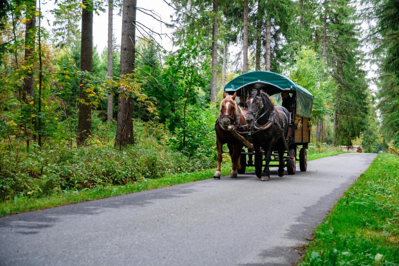 Ferienhotel Goldhuebel Нойхаузен Экстерьер фото